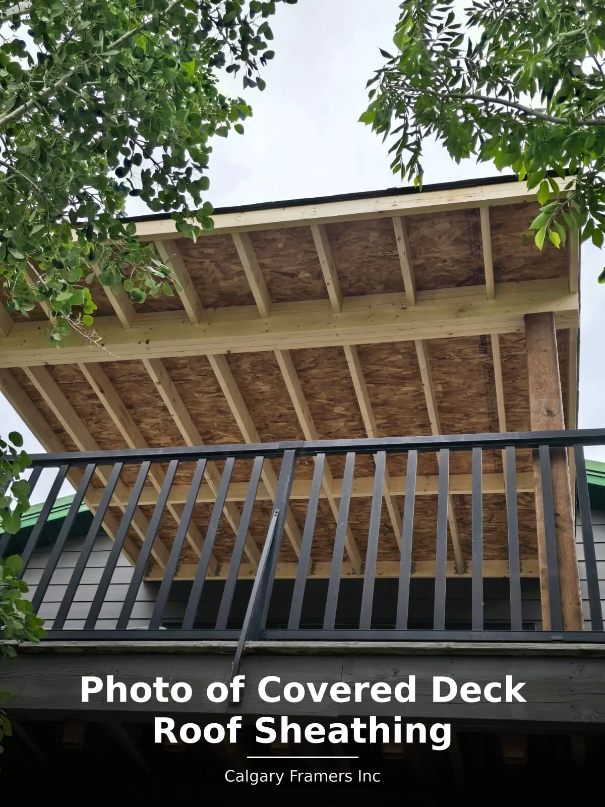 Underside of a covered deck roof showing OSB sheathing fastened between rafters