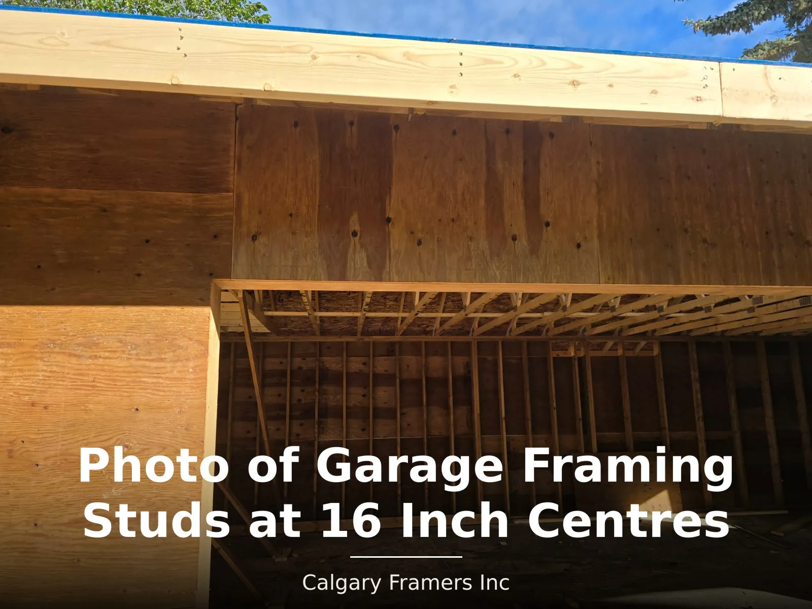 Garage wall studs framed at 16 inch centres behind plywood sheathing