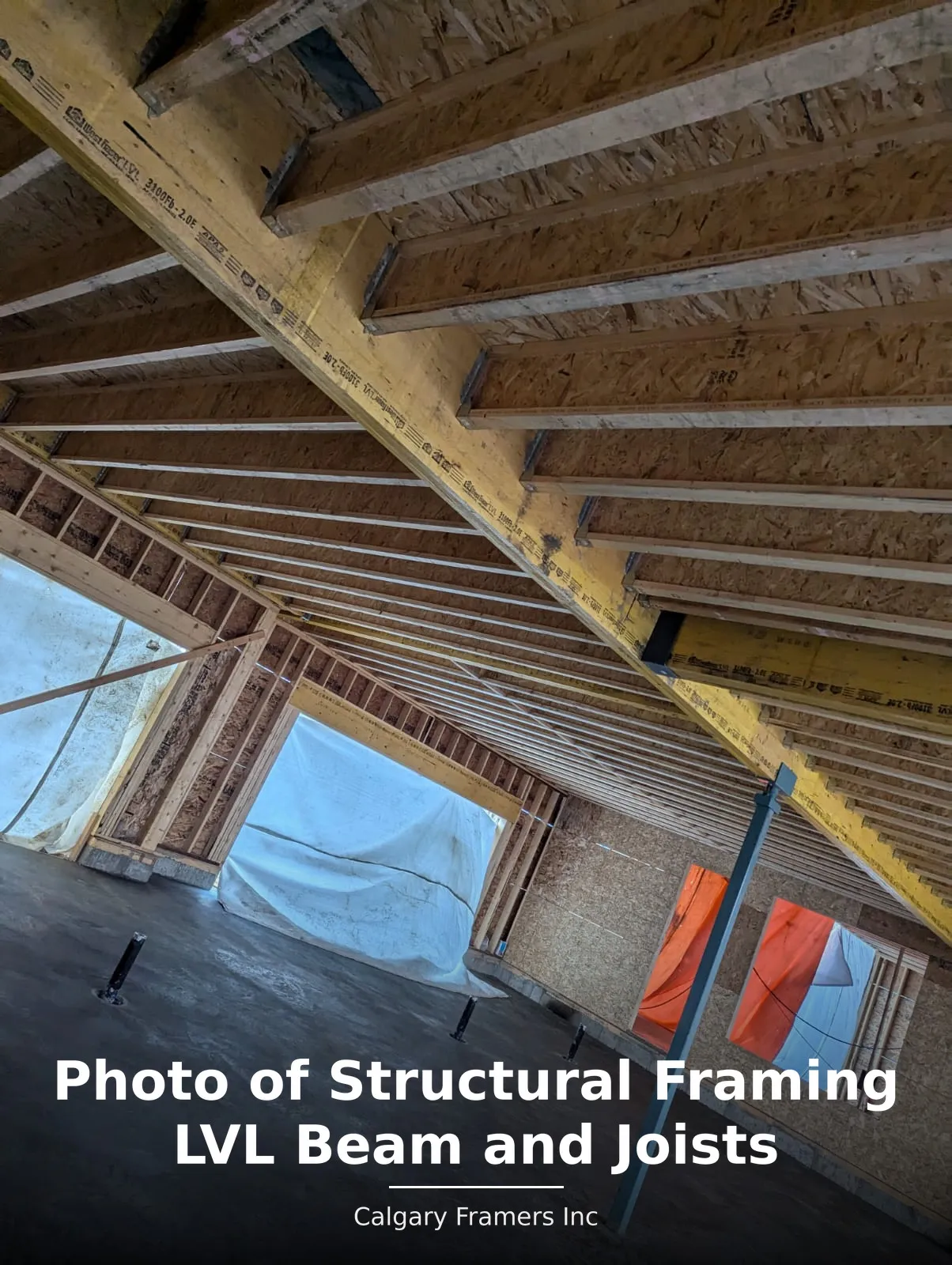 LVL beam and floor joists viewed from below with column support