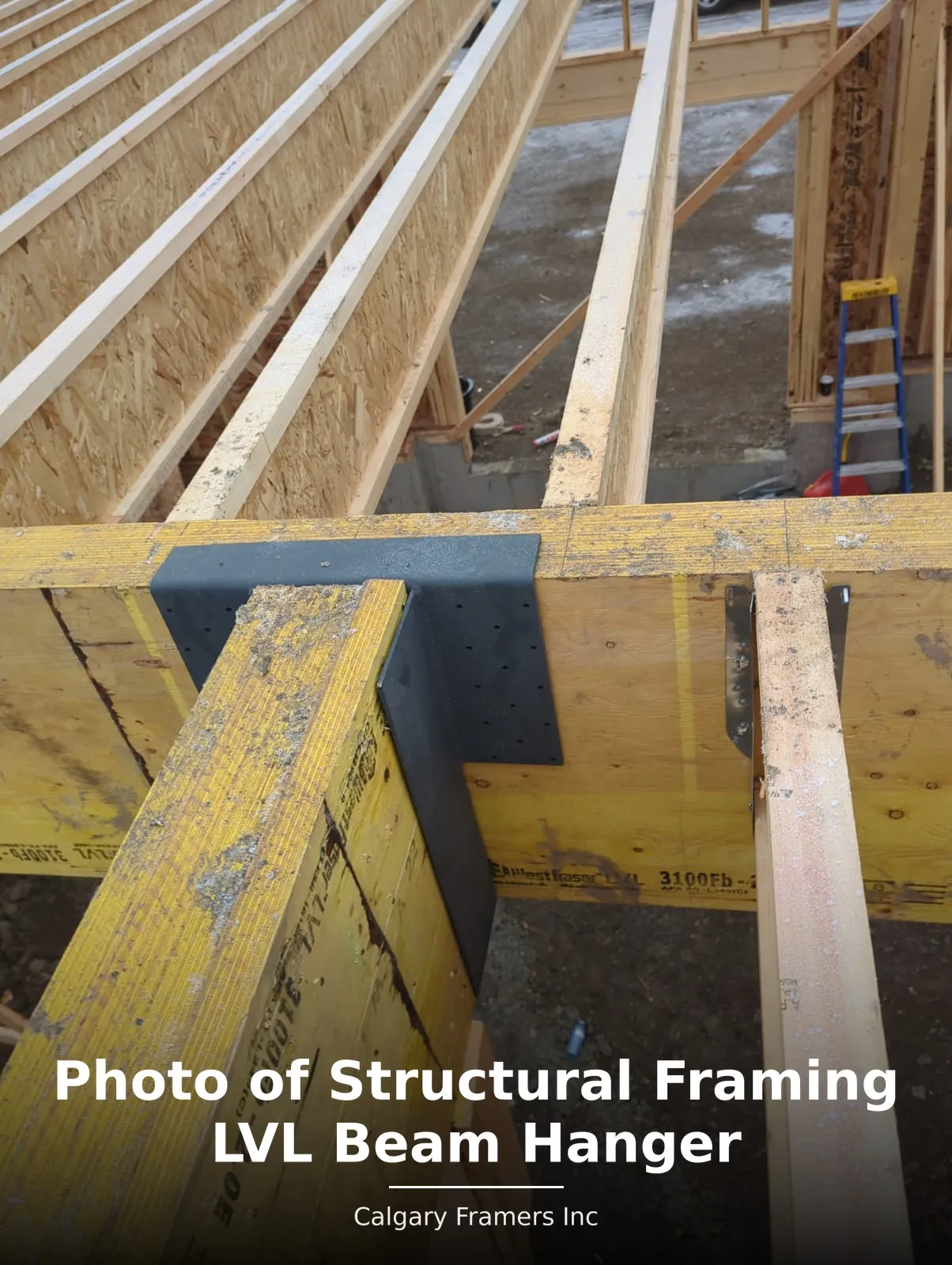 Engineered LVL beam seated in a steel hanger below a floor system